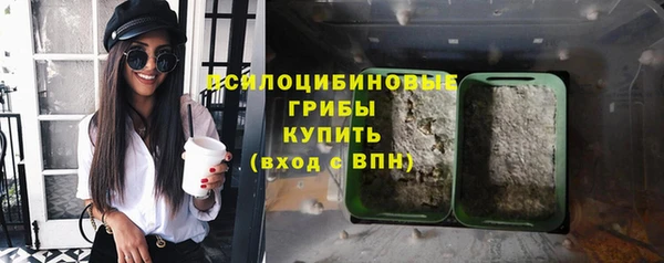 таблы Алзамай